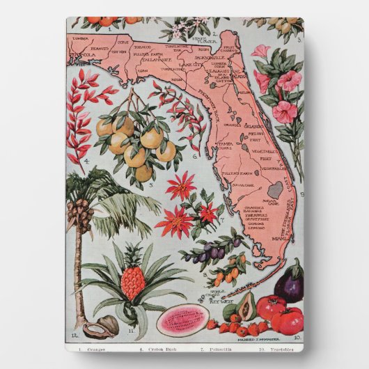 Vintage Karte Florida Fotoplatte (Vorderseite)