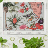 Vintage Karte Florida Geschirrtuch (Gefaltet)
