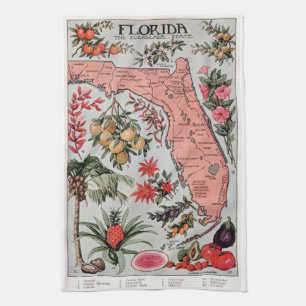Vintage Karte Florida Geschirrtuch