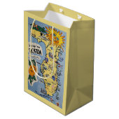 Vintage Karte Florida Mittlere Geschenktüte (Rückseite Schrägansicht)