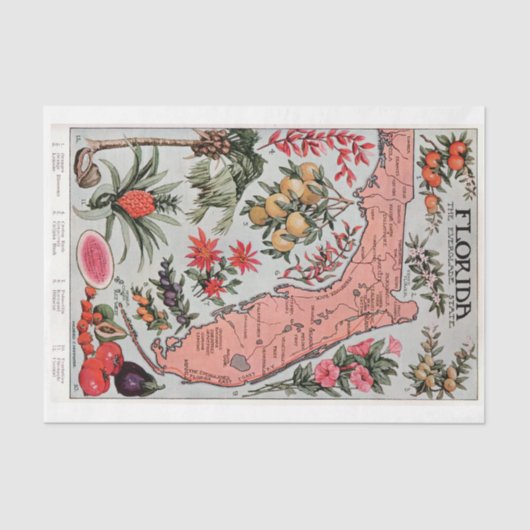 Vintage Karte Florida Seidenpapier (Vorderseite)