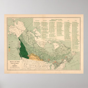 Vintage Karte für Wälder in Kanada (1906) Poster