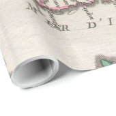 Vintage Karte Irlands (1748) Geschenkpapier (Rolleneckpunkt)