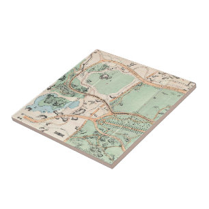 Vintage Karte von Central Park (1860) Fliese