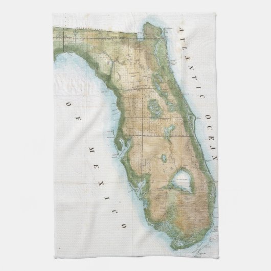 Vintage Karte von Florida (1848) Küchentuch (Vertikal)