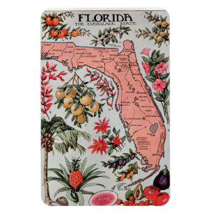Vintage-Karte von Florida Magnet