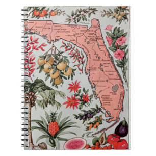 Vintage-Karte von Florida Notizblock