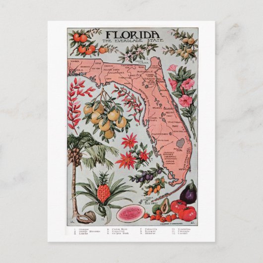 Vintage-Karte von Florida Postkarte (Vorderseite)