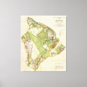 Vintage Karte von Hawaii Island (1906) Leinwanddruck