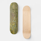 Vintage Karte von Houston Texas (1891) Skateboard (Vorderseite)