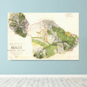 Vintage Karte von Maui Island (1906) Leinwanddruck (Insitu (Holzboden))