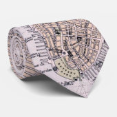 Vintage Karte von New York City (1884) Krawatte (Gerollt)