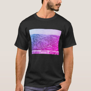 Vintage-Karte von Norwood, MA 1882 T-Shirt