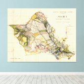 Vintage Karte von Oahu Hawaii (1906) Leinwanddruck (Insitu (Holzboden))
