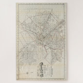 Vintage Karte von Schenectady NY (1917) Puzzle (Vertikal)