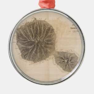 Vintage Karte von Tahiti (1845) Silbernes Ornament