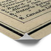 Vintage Karte von Toronto (1894) Poster (Ecke)