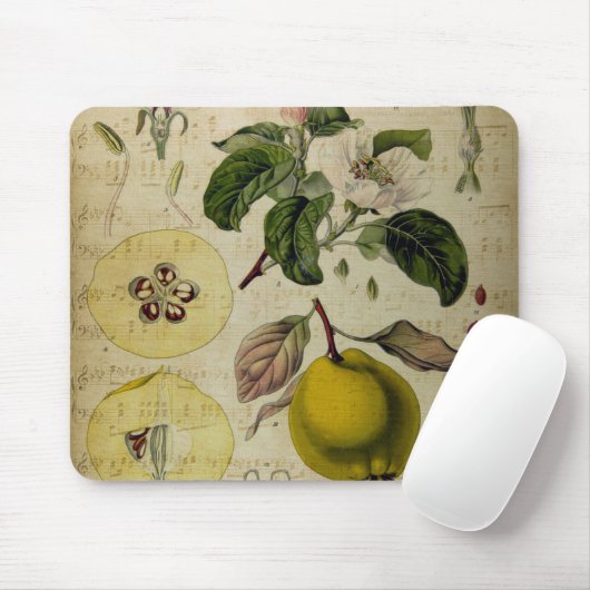 Vintage Kartenmodefläche Mousepad (Mit Mouse)