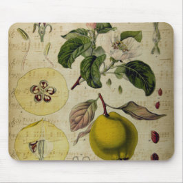 Vintage Kartenmodefläche Mousepad