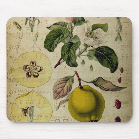 Vintage Kartenmodefläche Mousepad (Vorne)