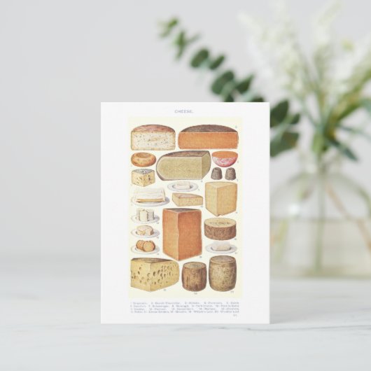 Vintage Käsemeldung Postkarte (Stehend Vorderseite)