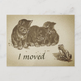 Vintage Kätzchen und Frosch I übertragen Adressänd Postkarte