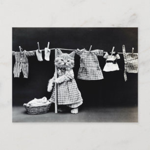 Vintage-Kätzchen und Wäsche Postkarte