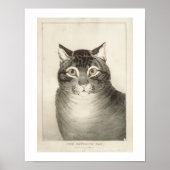 Vintage Katze als Favorit Poster (Vorne)