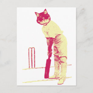 vintage Katze Cricketspieler Postkarte