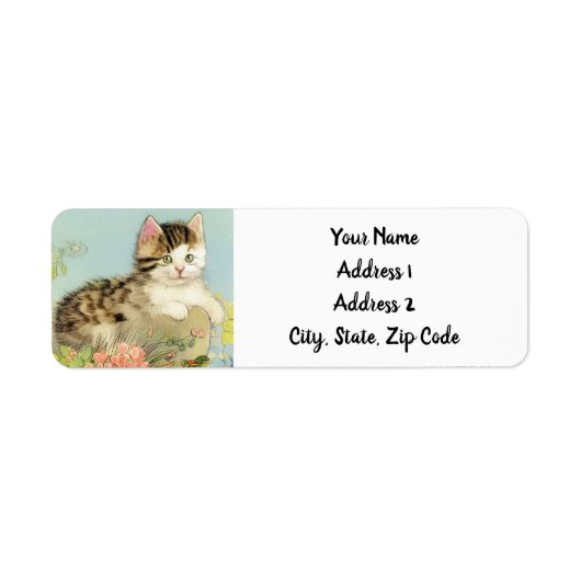 Vintage Katze-Illustration mit rosa Blume (Vorne)