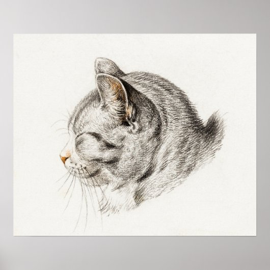 Vintage Katze-Illustration Poster (Vorne)