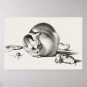 Vintage Katze-Illustration Poster (Vorne)