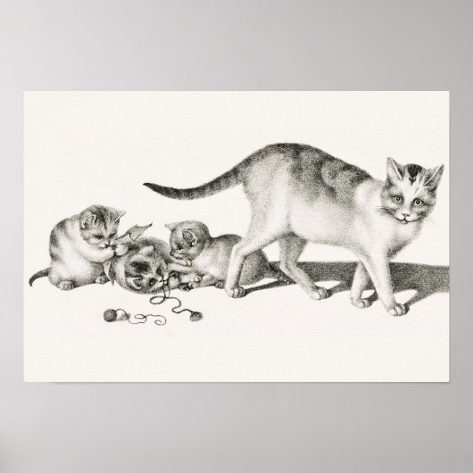 Vintage Katze-Illustration Poster (Vorne)