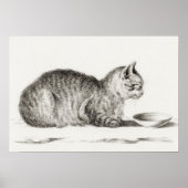 Vintage Katze-Illustration Poster (Vorne)