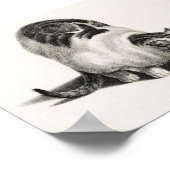 Vintage Katze-Illustration Poster (Ecke)