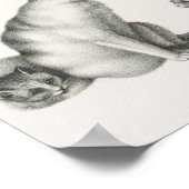 Vintage Katze-Illustration Poster (Ecke)