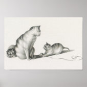 Vintage Katze-Illustration Poster (Vorne)