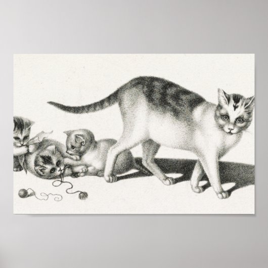 Vintage Katze-Illustration Poster (Vorne)
