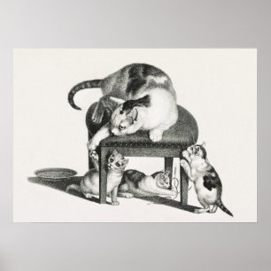 Vintage Katze-Illustration Poster