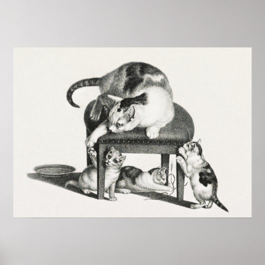 Vintage Katze-Illustration Poster (Vorne)