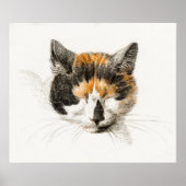 Vintage Katze-Illustration Poster (Vorne)
