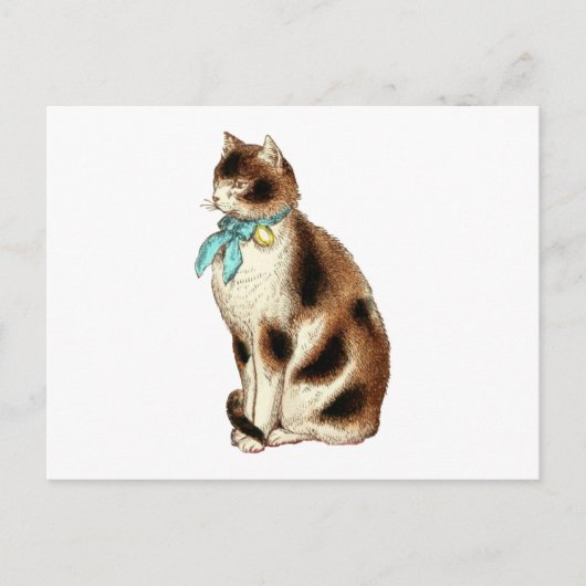 Vintage Katze-Illustration Postkarte (Vorderseite)