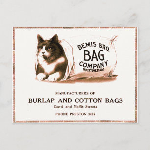 Vintage Katze im Beutel Postkarte