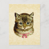 Vintage Katze mit rosa Bow Postkarte (Vorderseite)