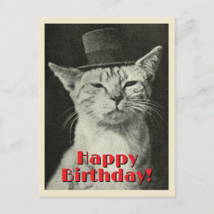 Vintage-Katze mit Zylinder zum Geburtstag Postkarte