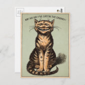Vintage Katze Postkarte (Vorne/Hinten)