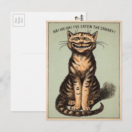 Vintage Katze Postkarte (Vorne/Hinten)