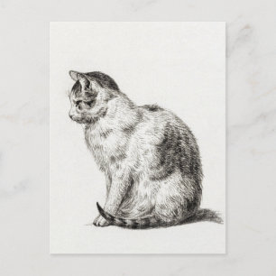 Vintage-Katze Schwarz-Weiß-Bleistiftkunst Postkarte