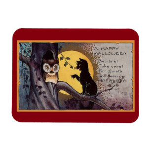 Vintage Katze und Eule Magnet
