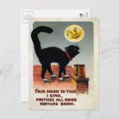 Vintage Katze und Mond Postkarte (Vorne/Hinten)